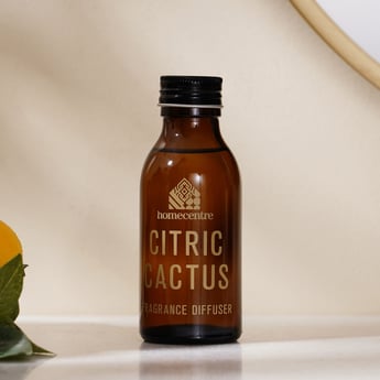 Enchanted Citrus Cactus Diffuser Oil - 100ml