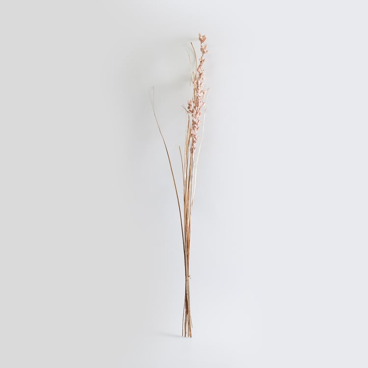 Botanical Dried Tishi Flowers - 85cm