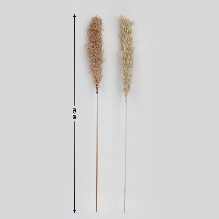 Botanical Tails Set of 2 Dried Havana Sticks - 95cm