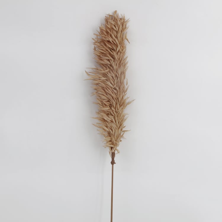 Botanical Tails Set of 2 Dried Havana Sticks - 95cm