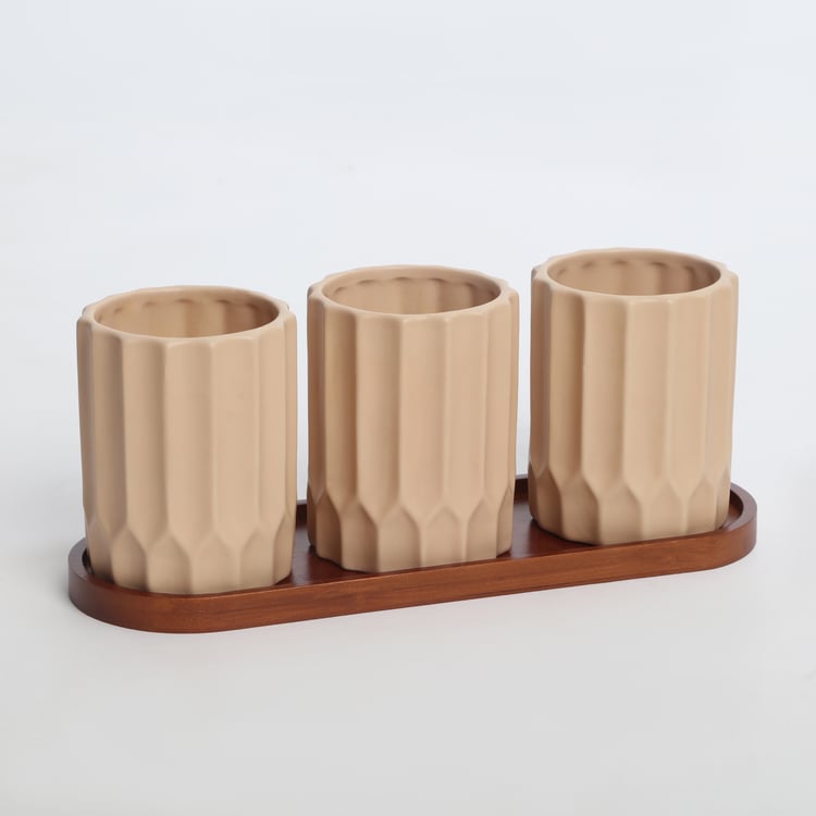 Gloria Set of 3 Ceramic Planters with Tray
