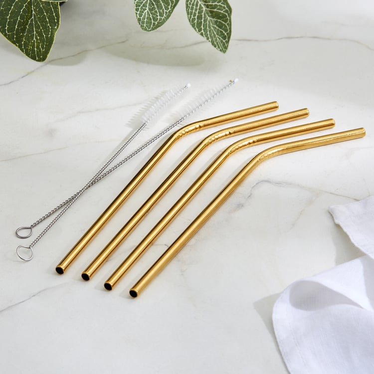Wexford Oregon 6Pcs Stainless Steel Straw Set