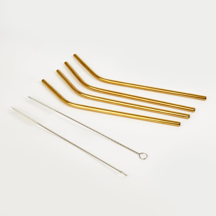 Wexford Oregon 6Pcs Stainless Steel Straw Set