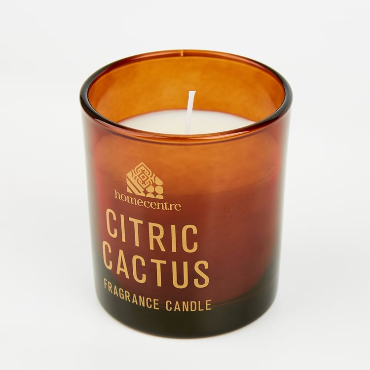 Enchanted Citric Cactus Scented Jar Candle