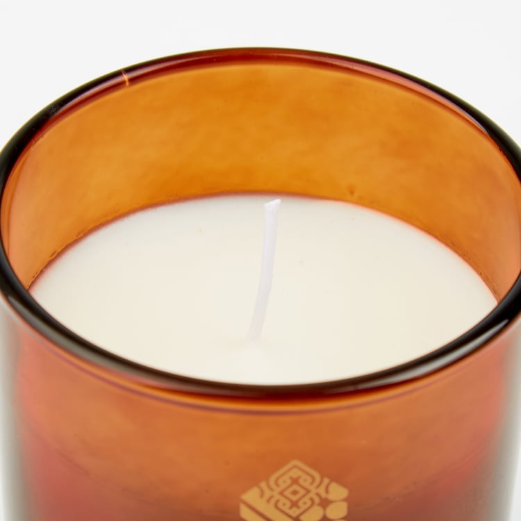 Enchanted Citric Cactus Scented Jar Candle