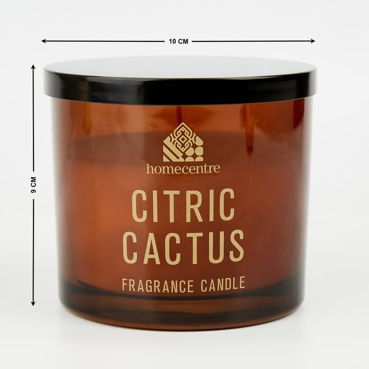 Enchanted Citrus Cactus Scented Jar Candle