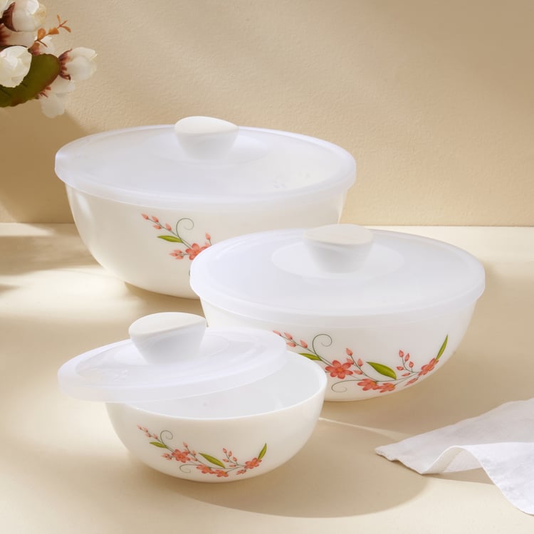Velox Creeper Set of 3 Opalware Printed Mixing Bowls with Lids