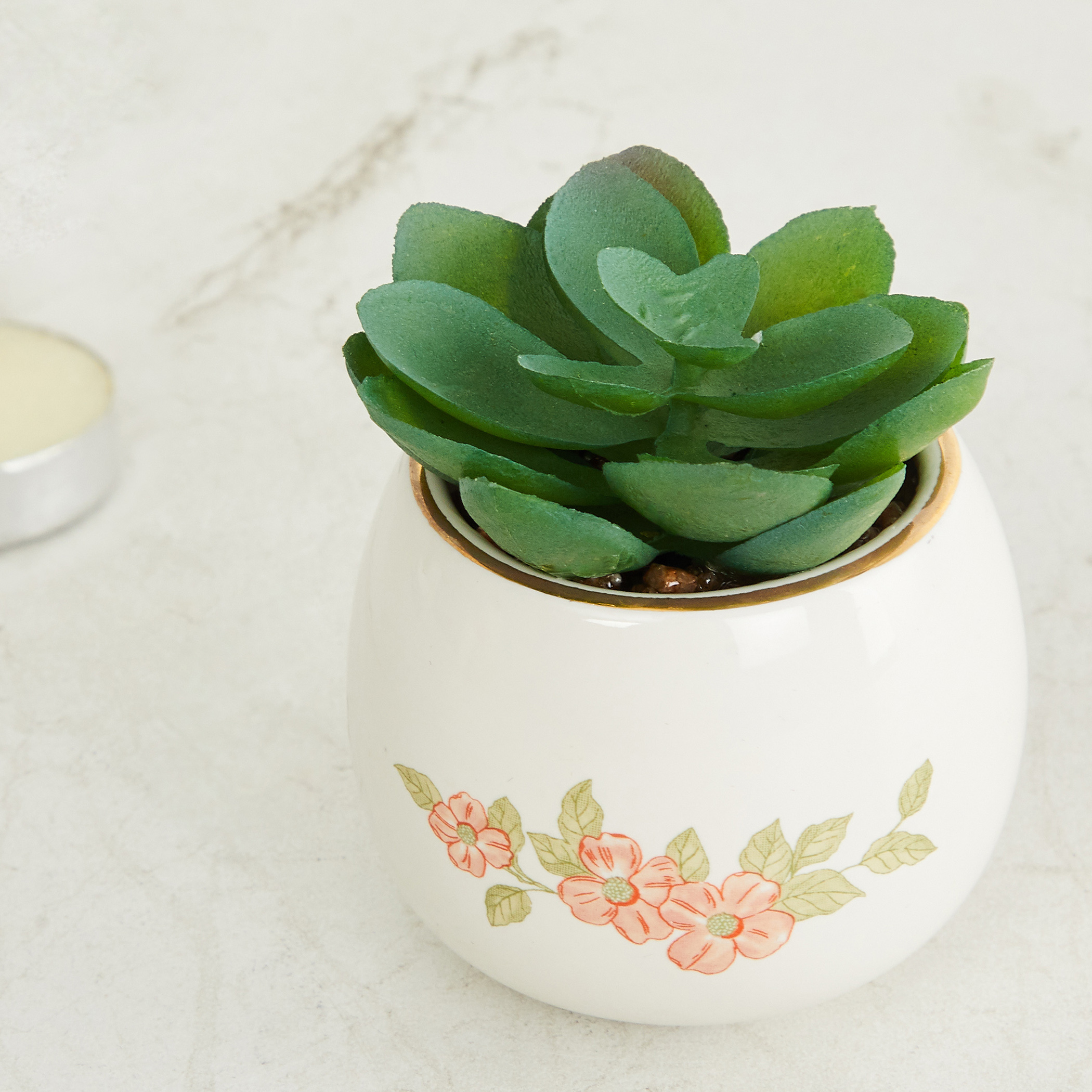The Royal - White Printed Ceramic Small Planter with Succulent